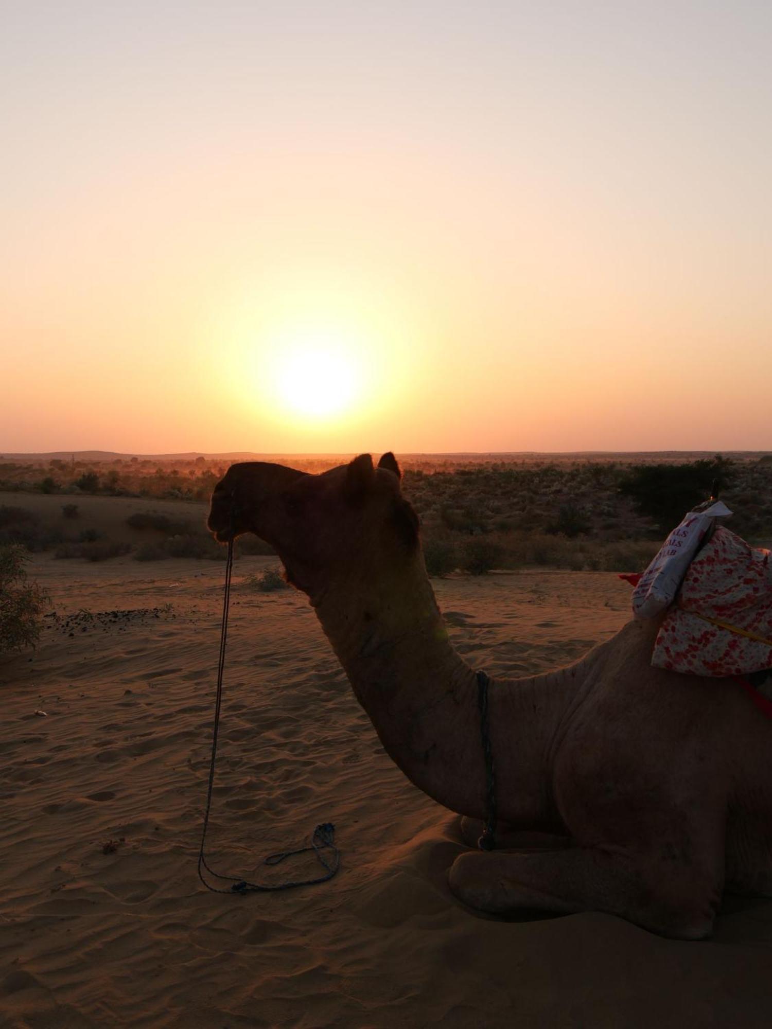 Ideal Guest House Jaisalmer Exterior foto